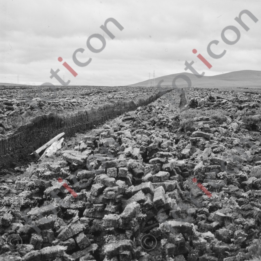 Torffeld | Peat field (foticon-hofmann-001-002-sw.jpg)